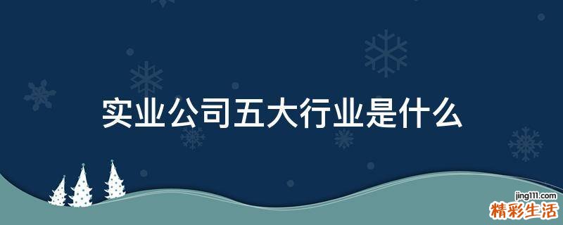 实业公司五大行业是什么