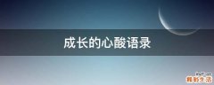 成长的心酸语录