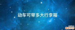 动车可带多大行李箱