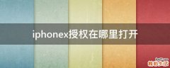 iphonex授权在哪里打开