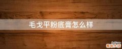 毛戈平粉底膏怎么样