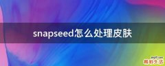 snapseed怎么处理皮肤