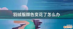 羽绒服颜色变花了怎么办