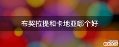 布契拉提和卡地亚哪个好