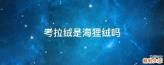 考拉绒是海狸绒吗