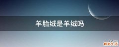 羊胎绒是羊绒吗