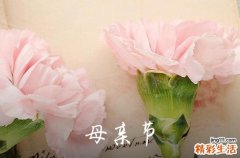 最新母亲节祝福语句子