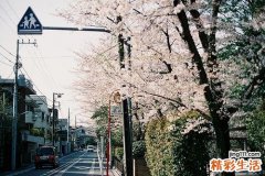 腹部怎么按摩