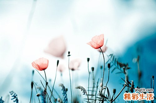 治疗慢性荨麻疹的偏方