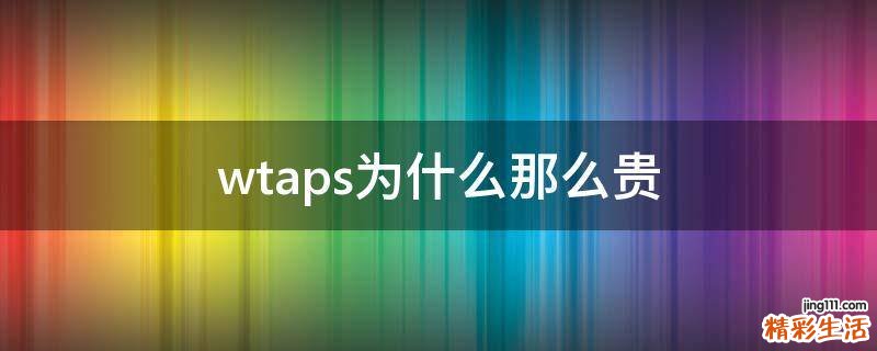 wtaps为什么那么贵
