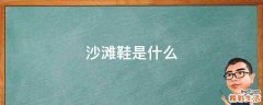 沙滩鞋是什么