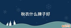 秋衣什么牌子好