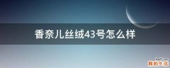 香奈儿丝绒43号怎么样