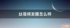 丝蓓绮发膜怎么样