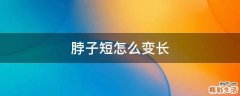 脖子短怎么变长