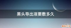 黑头导出液要敷多久