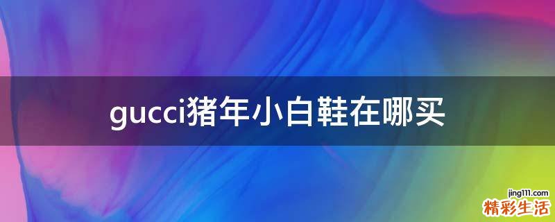 gucci猪年小白鞋在哪买