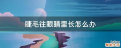 睫毛往眼睛里长怎么办