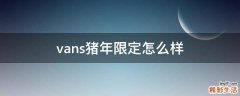 vans猪年限定怎么样