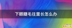 下眼睫毛往里长怎么办