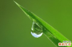 谷雨的寓意和祝福 有哪些适合谷雨节气的祝福语