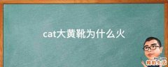 cat大黄靴为什么火