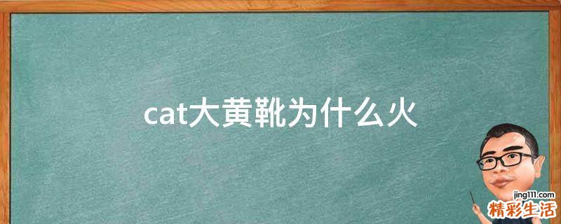 cat大黄靴为什么火