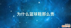 为什么篮球鞋那么贵