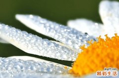 今日谷雨朋友圈文案简短
