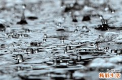 谷雨火爆全网的唯美句子大全