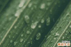 谷雨节气高级唯美句子80句