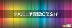 SUQQU渐变腮红怎么样
