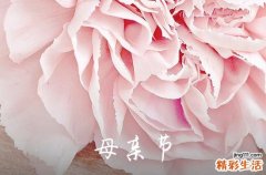 精选 母亲节祝福语文案80句