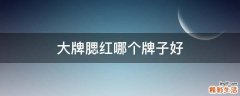 大牌腮红哪个牌子好