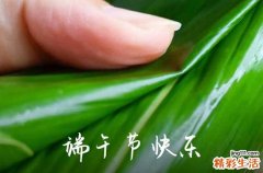 110句精辟 祝端午节安康文案句子