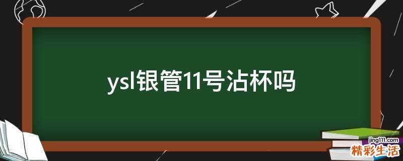 ysl银管11号沾杯吗