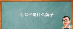 毛戈平是什么牌子