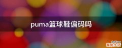 puma篮球鞋偏码吗