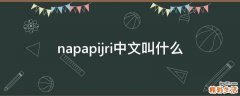 napapijri中文叫什么