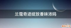 兰蔻奇迹绽放香味浓吗