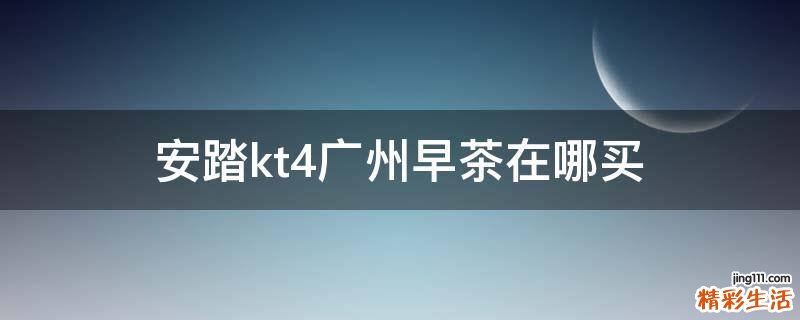 安踏kt4广州早茶在哪买