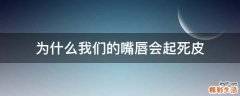 为什么我们的嘴唇会起死皮