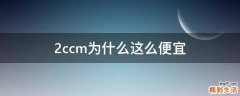 2ccm为什么这么便宜