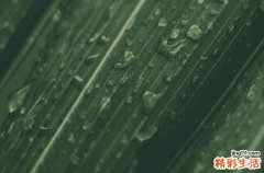 2023哪天是谷雨