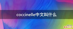 coccinelle中文叫什么