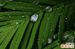 2023年谷雨是什么时候开始
