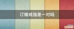 订婚戒指是一对吗