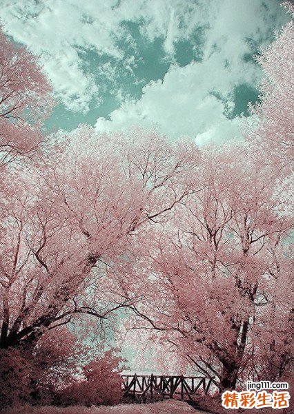 痔疮的病因有哪些 如何治疗