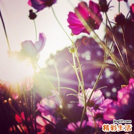 香蕉例假可以吃吗