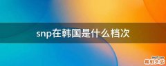 snp在韩国是什么档次
